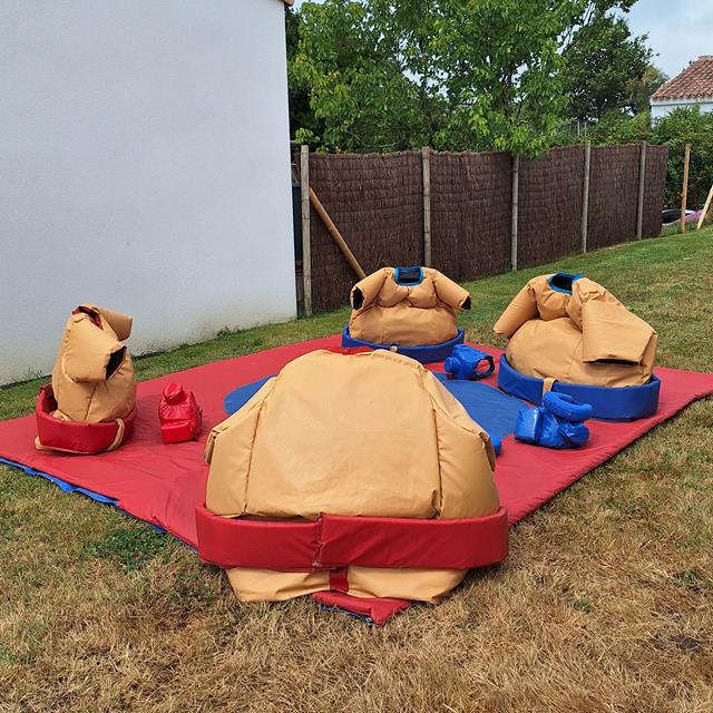 Photo Costumes sumo